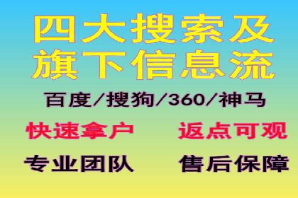 成功案例：SEM竞价托管的策略与效果